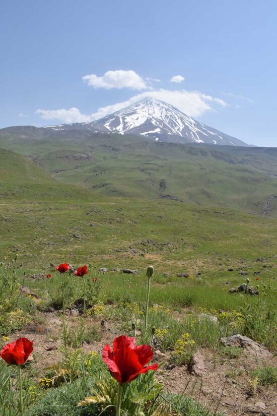 کوه دماوند